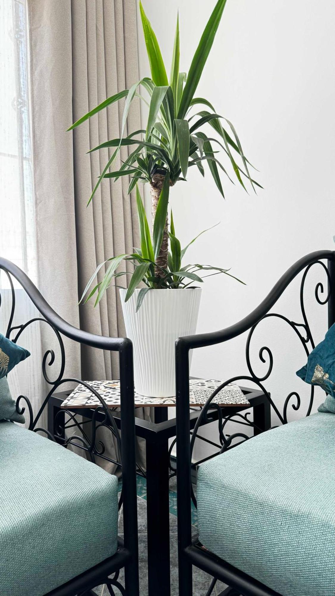 Apartament Calays Tu Hogar Junto Al Mar Tanger Zewnętrze zdjęcie